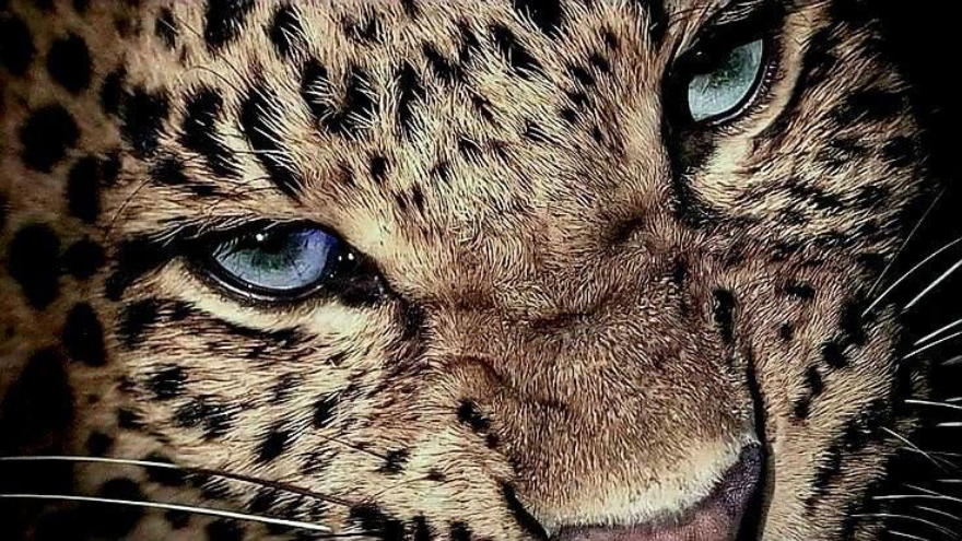 🤍Berucha - Official Page